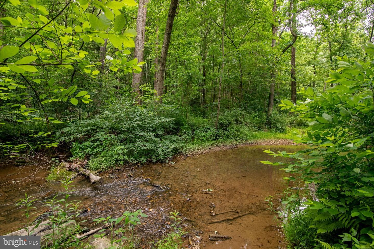 250 Robin Trail photo 23