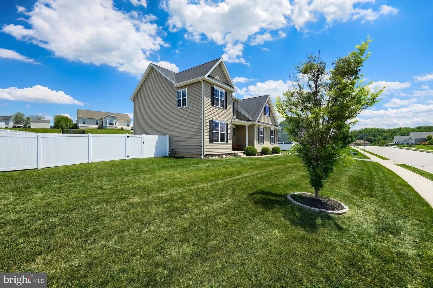925 Ripple Drive photo 5