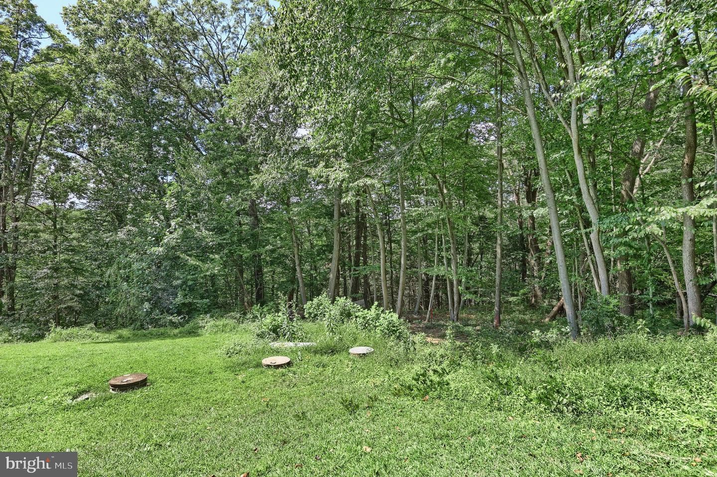 76 Laurel Drive photo 25