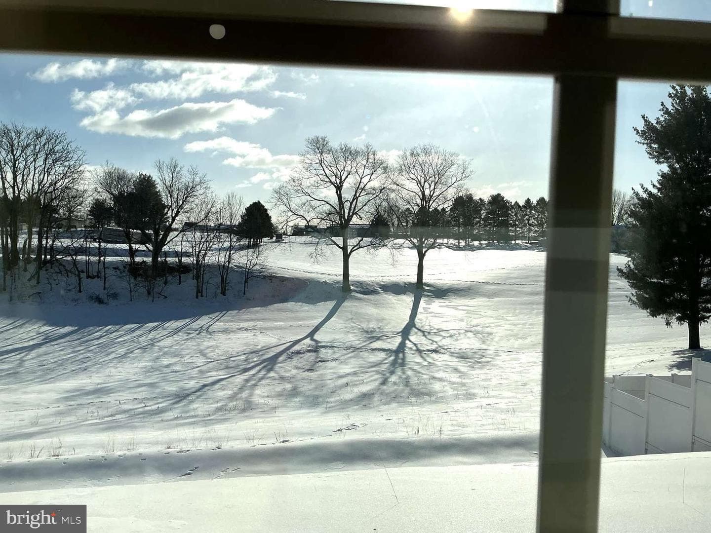 316 Hollyhock Drive photo 24