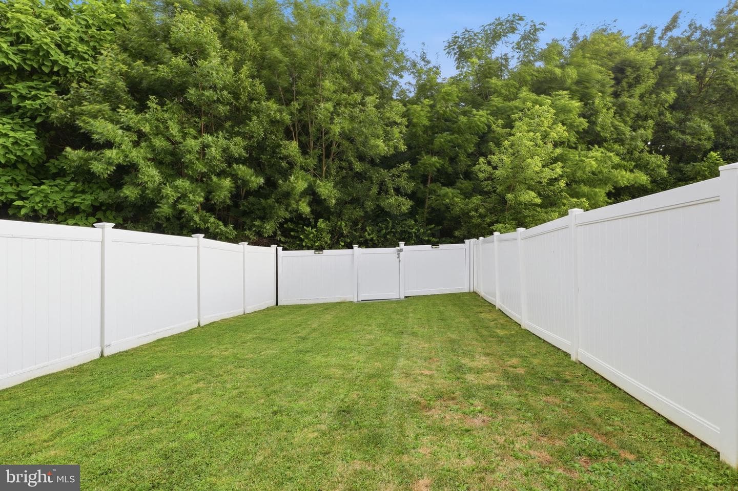 521 Charles Avenue photo 33