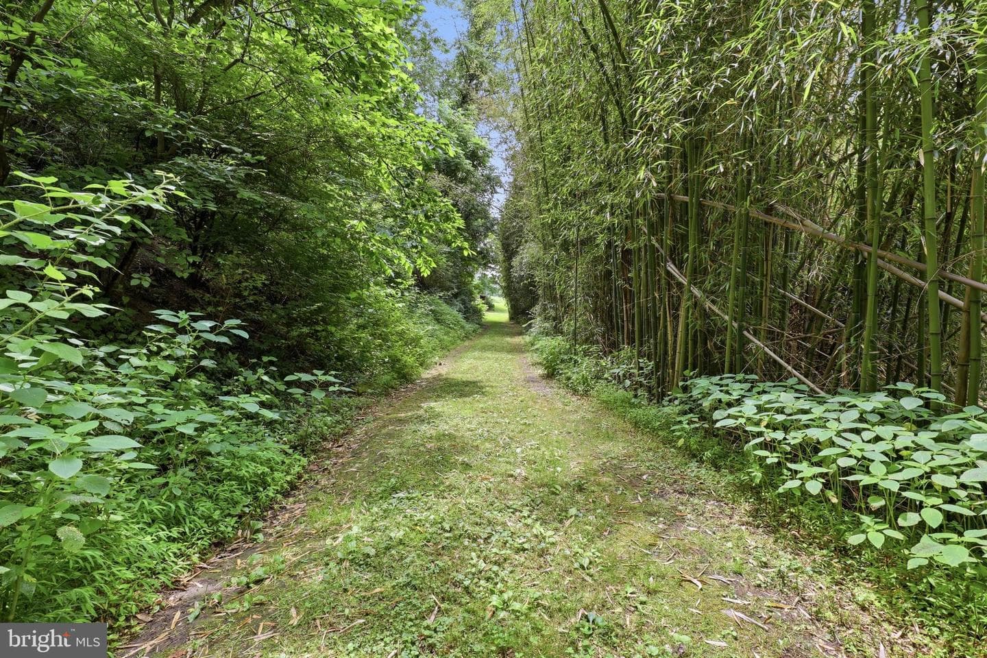 3362 Myers School Road photo 59