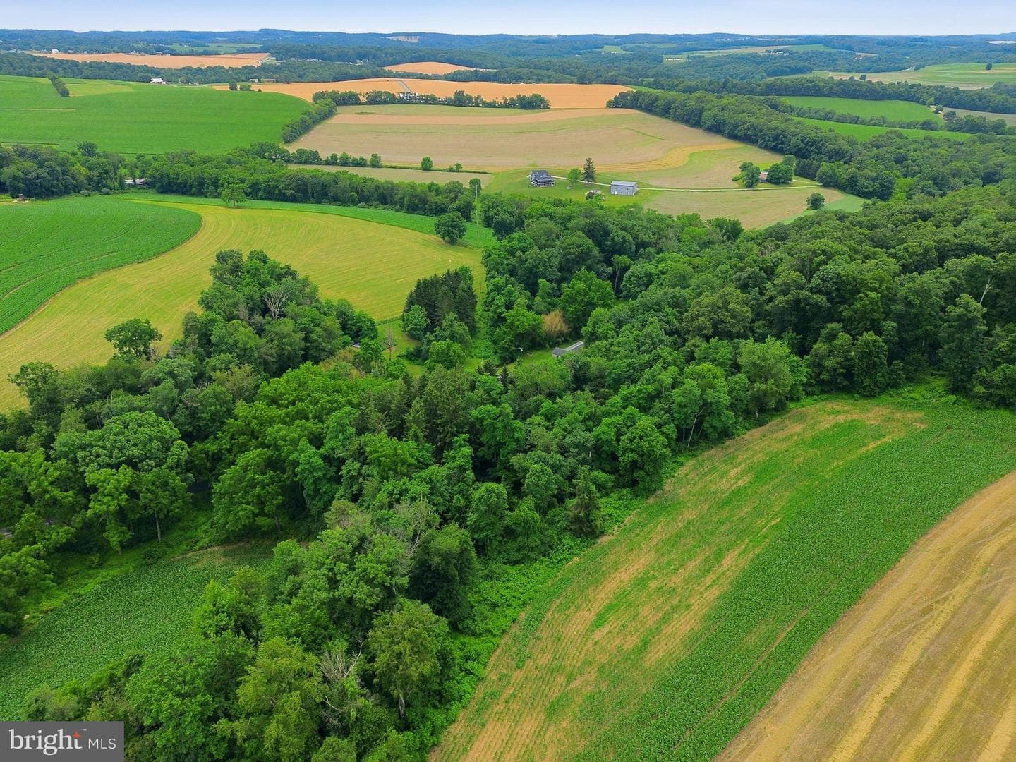 3362 Myers School Road photo 63