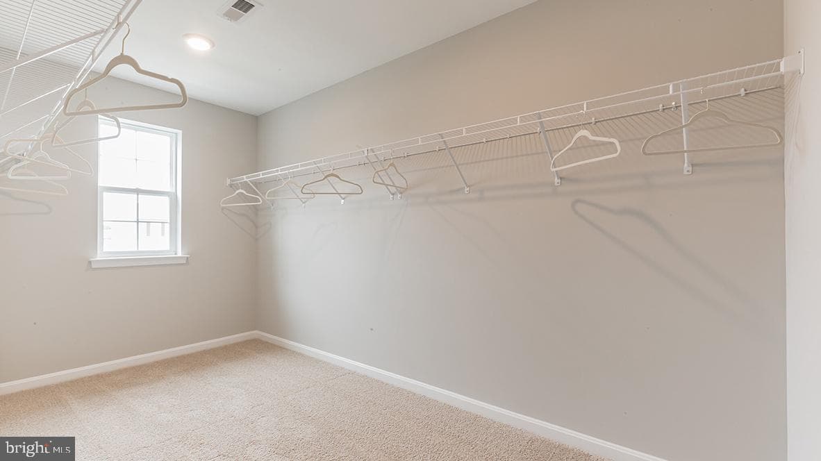 80 Christina Drive photo 29