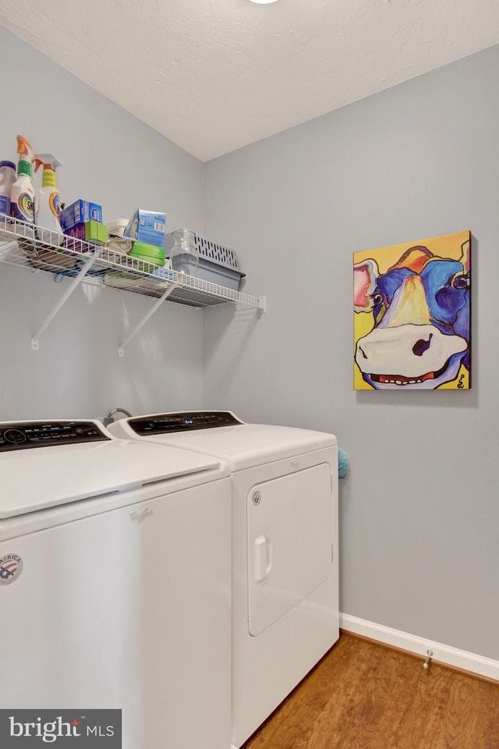 880 Ripple Drive photo 15