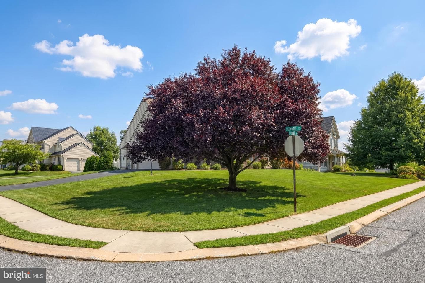18 Ferndale Road photo 8