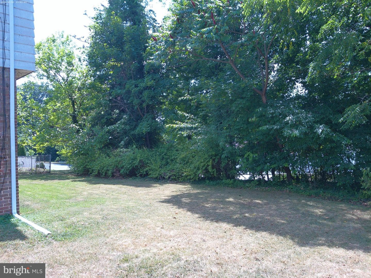 206 Green Lane Drive photo 19