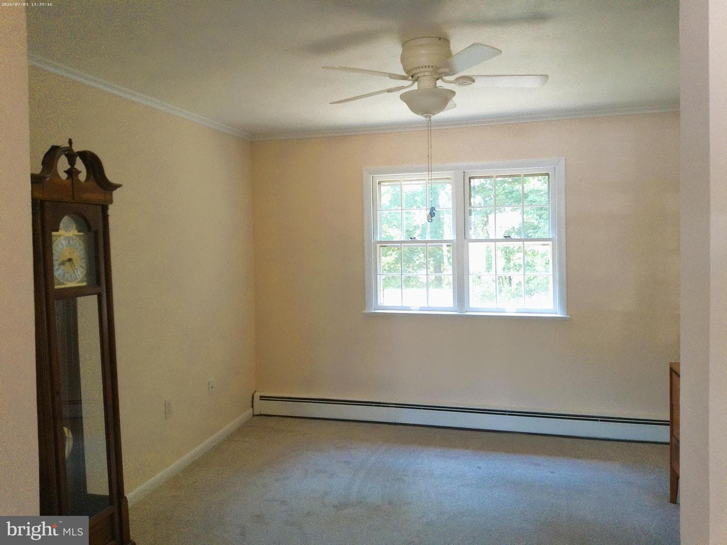 206 Green Lane Drive photo 6