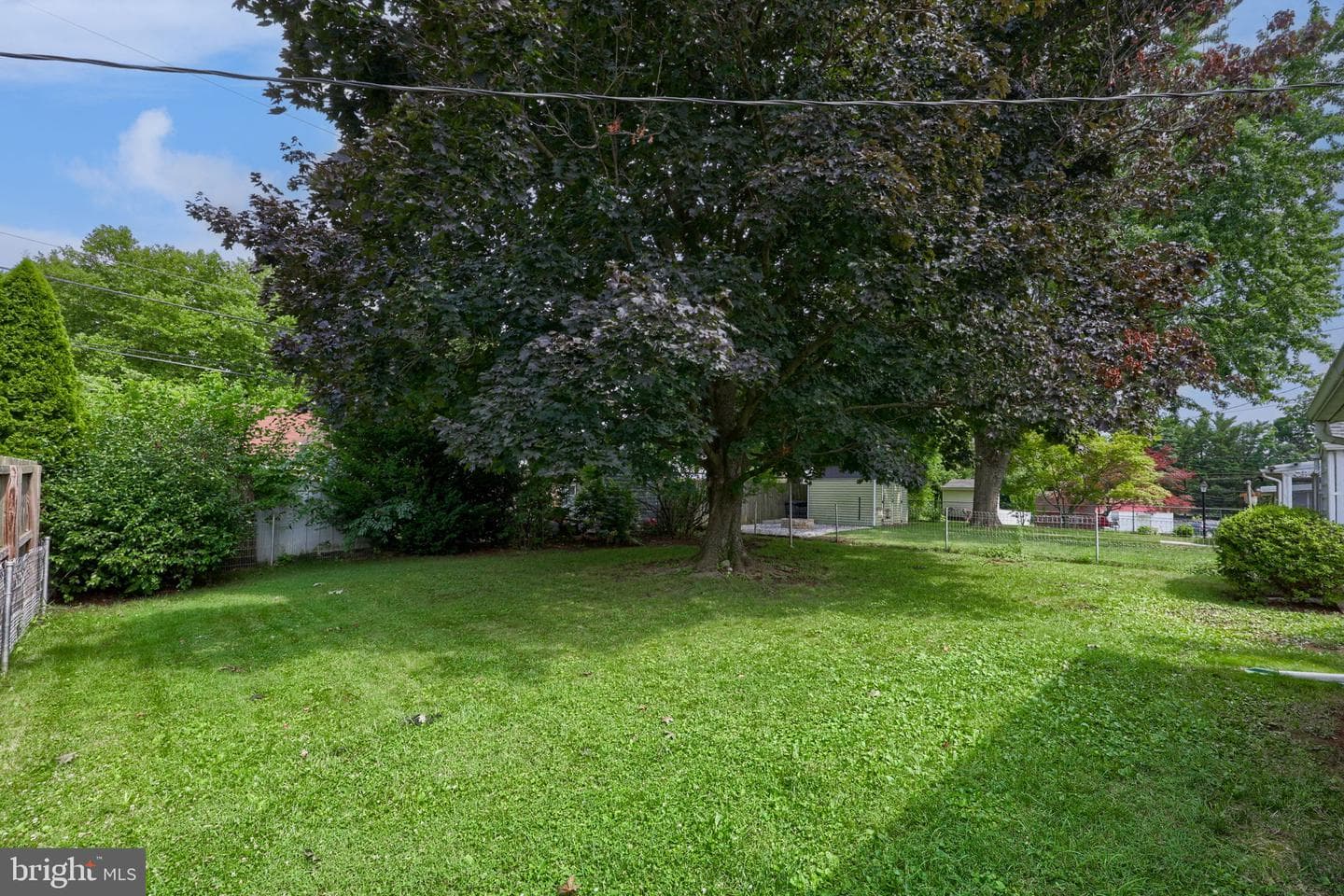 801 Carl Street photo 19