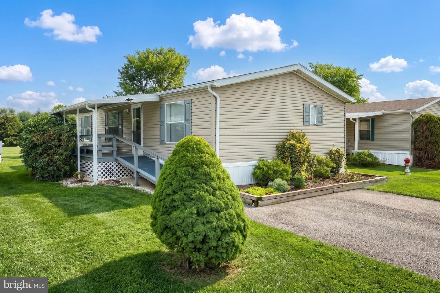 123 Mimosa Drive photo 24