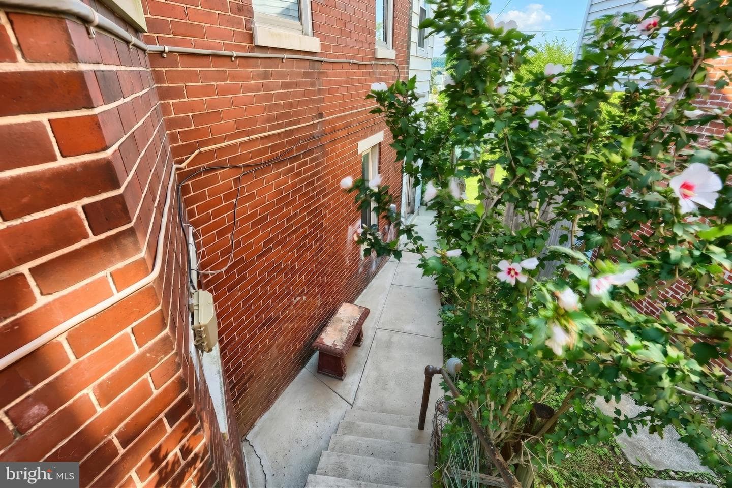 509 W Broadway photo 4