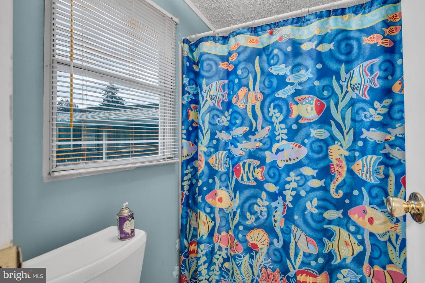 84 Buttonwood Drive photo 19