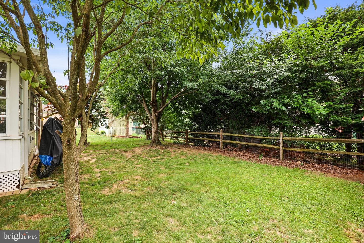 208 Willow Street photo 24