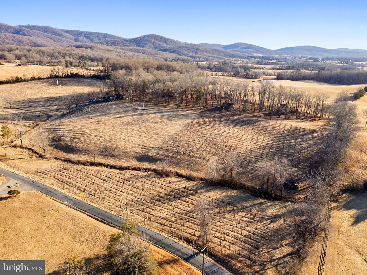 4500 Winery Lane photo 7