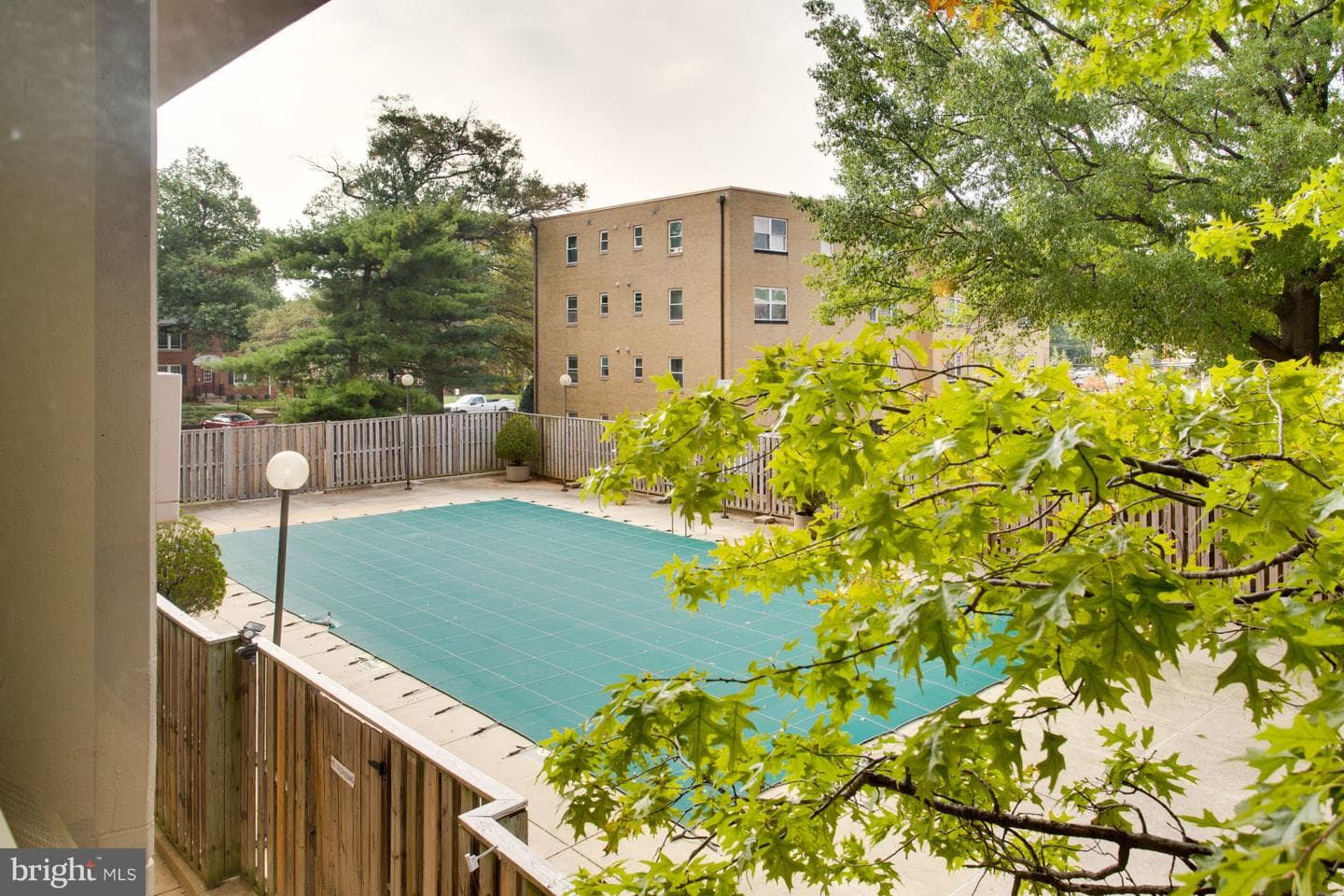 4141 Henderson Road N #303 photo 32