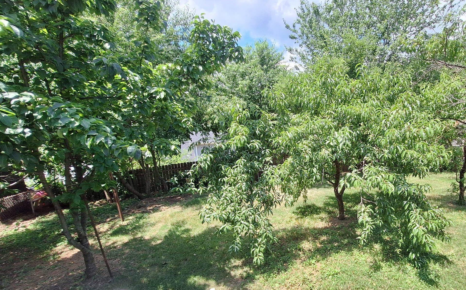 2020 S Pollard Street photo 14