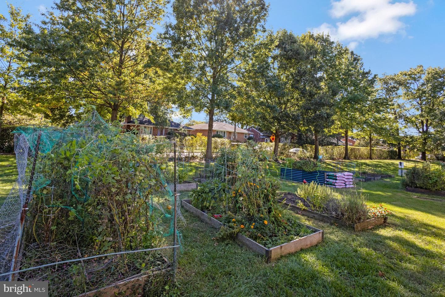 107 N George Mason Drive N #4 photo 33