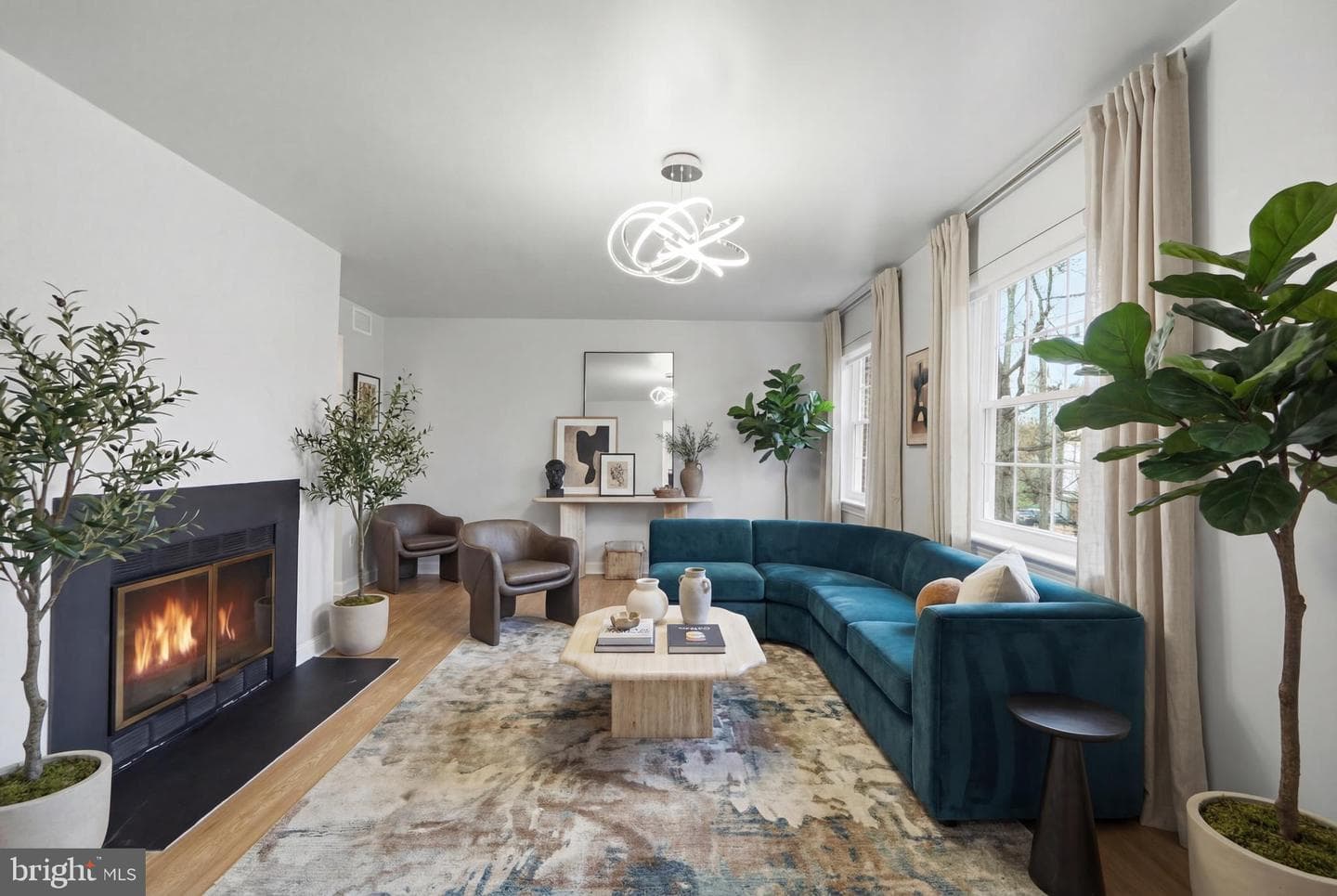 2105 N Scott Street #79 photo 3