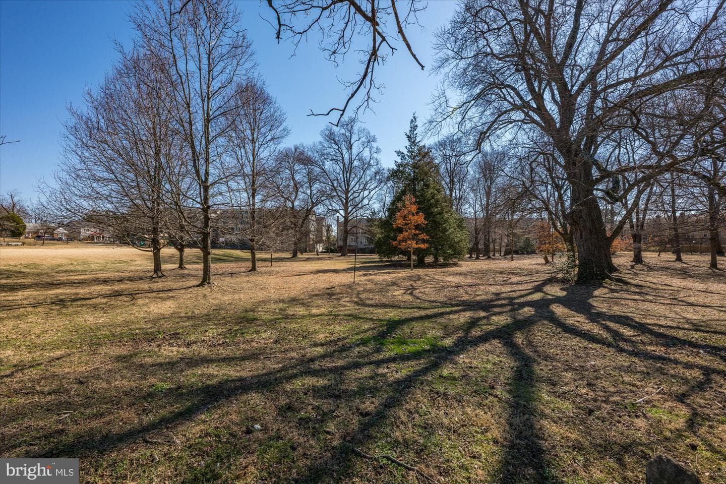 6726 25th Street N photo 58
