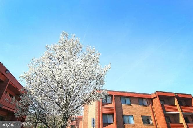1509 S George Mason Drive #21, Arlington