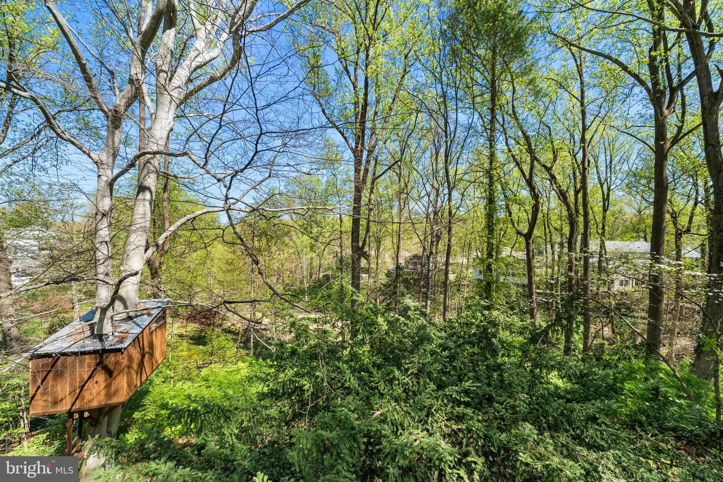 2705 N Upshur Street photo 56