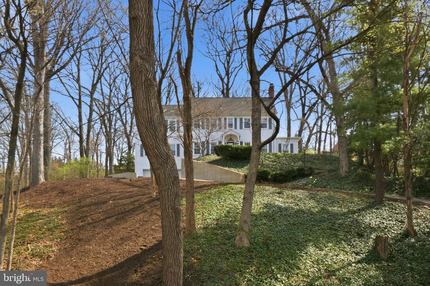 1805 Army Navy Drive photo 49