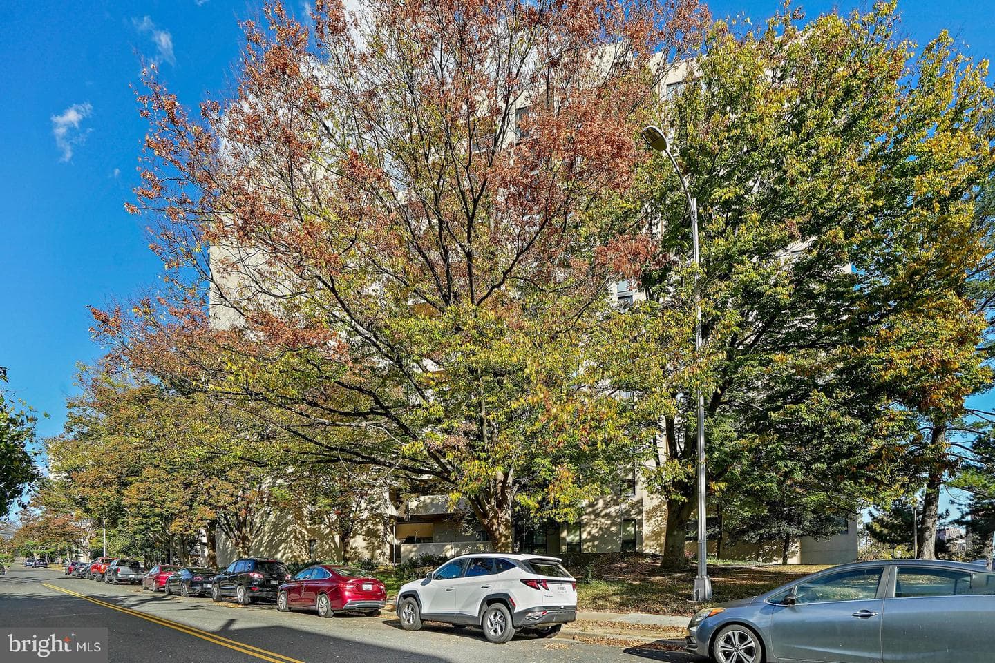 1101 S Arlington Ridge Road #706 photo 60