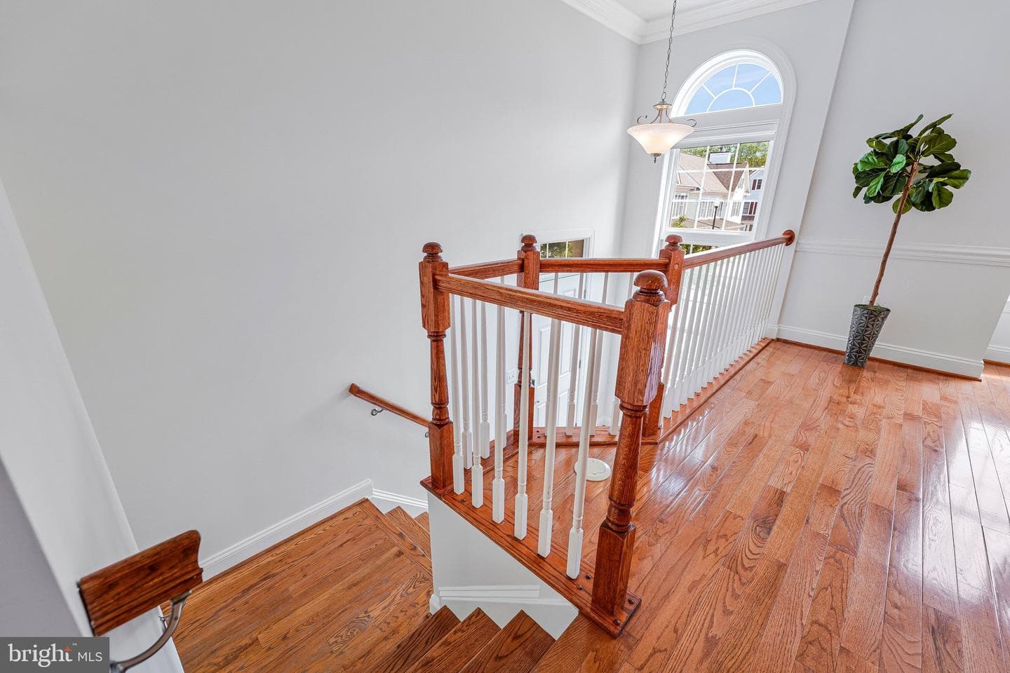 3501 13th Street S photo 4