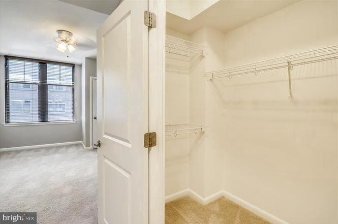 1021 N Garfield Street #804 photo 20