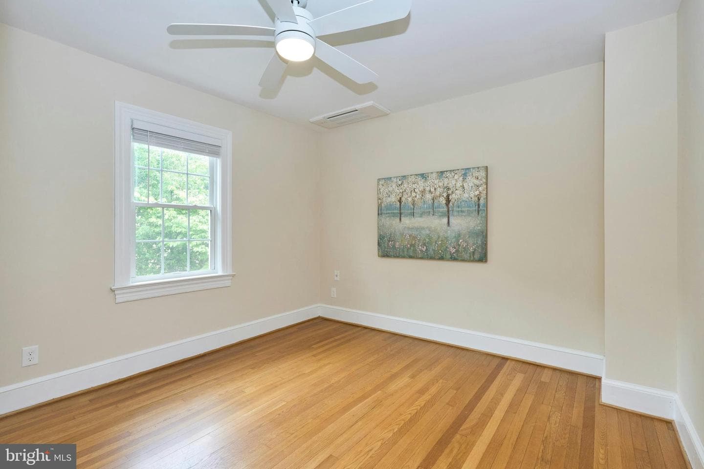 419 N Jackson Street photo 20