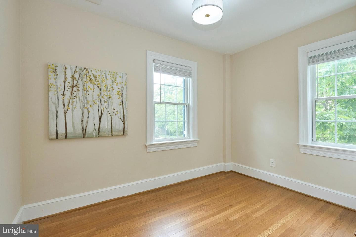 419 N Jackson Street photo 22