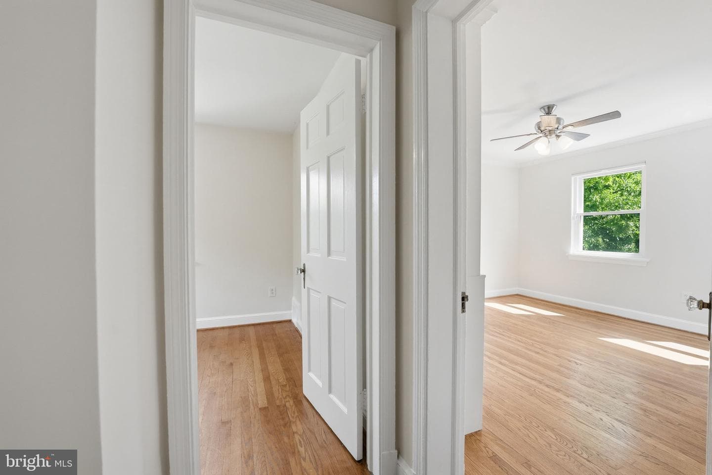 29 N Bedford Street photo 21