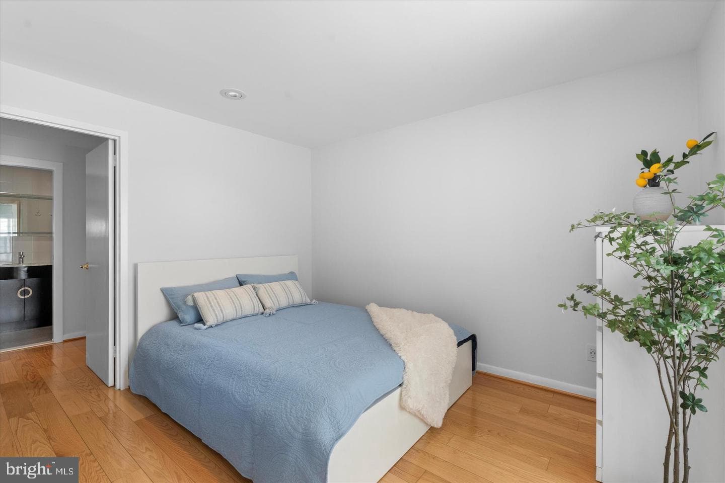 1510 12th Street N #303 photo 14
