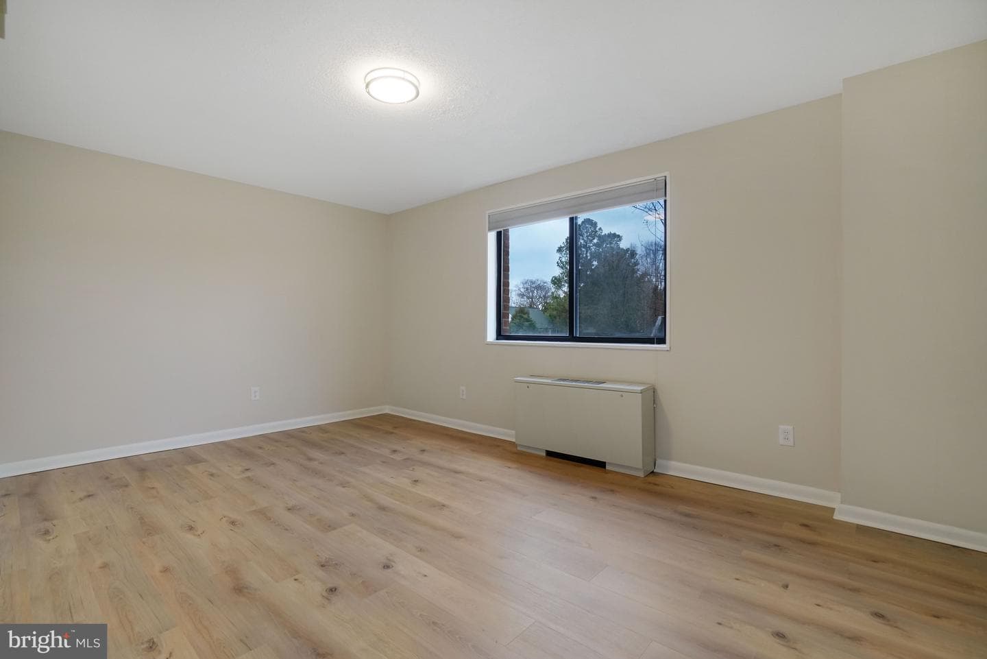 3515 Washington Boulevard #207 photo 13