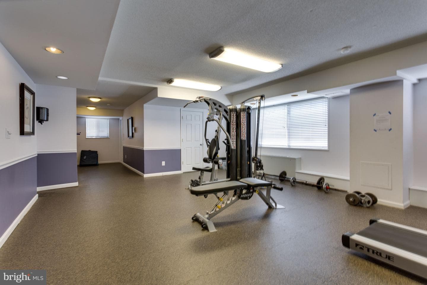 3515 Washington Boulevard #207 photo 40