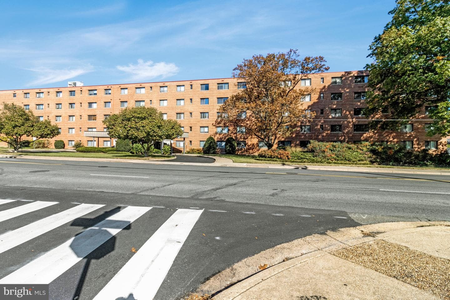 3515 Washington Boulevard #207 photo 6