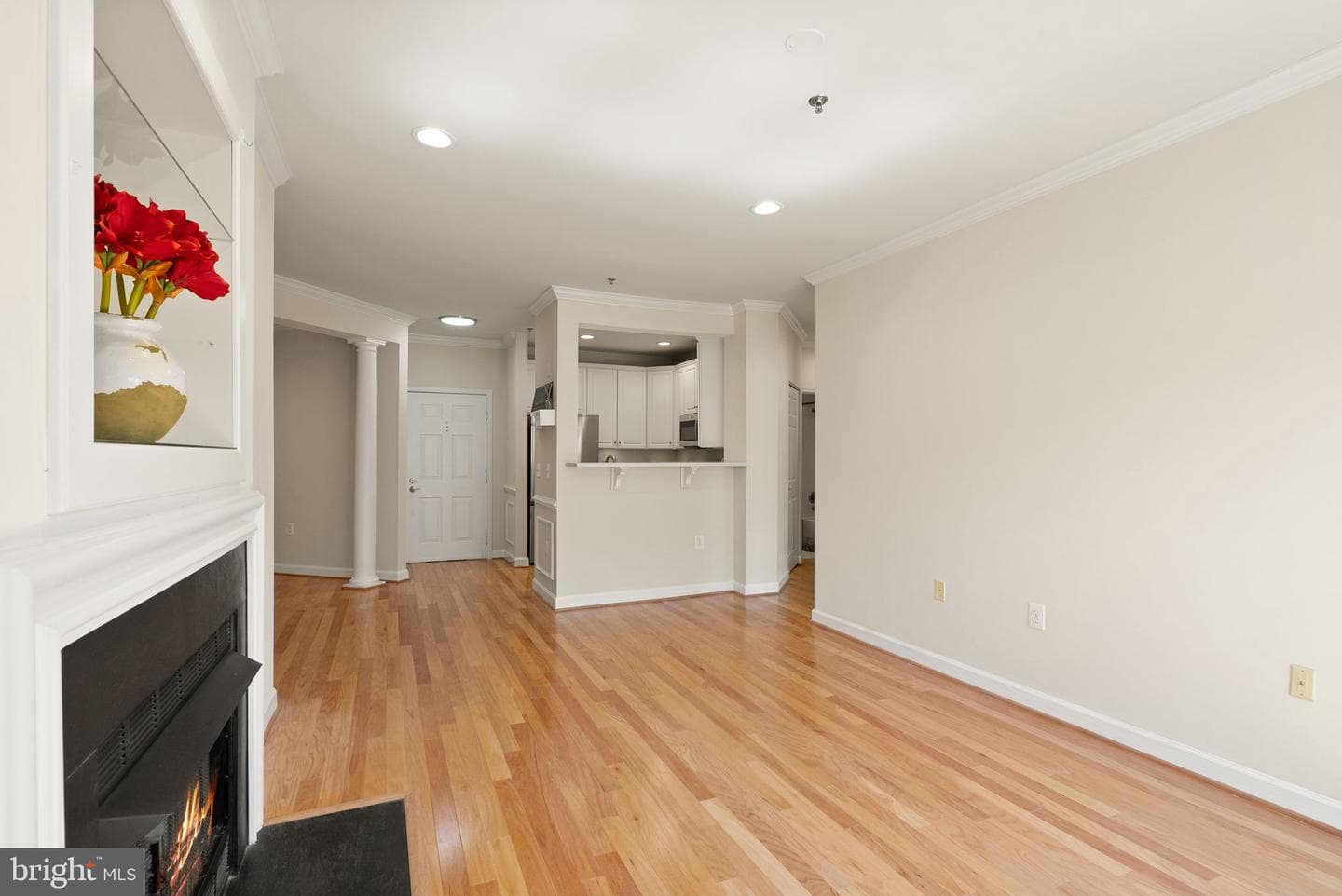 1321 N Adams Court #201 photo 19