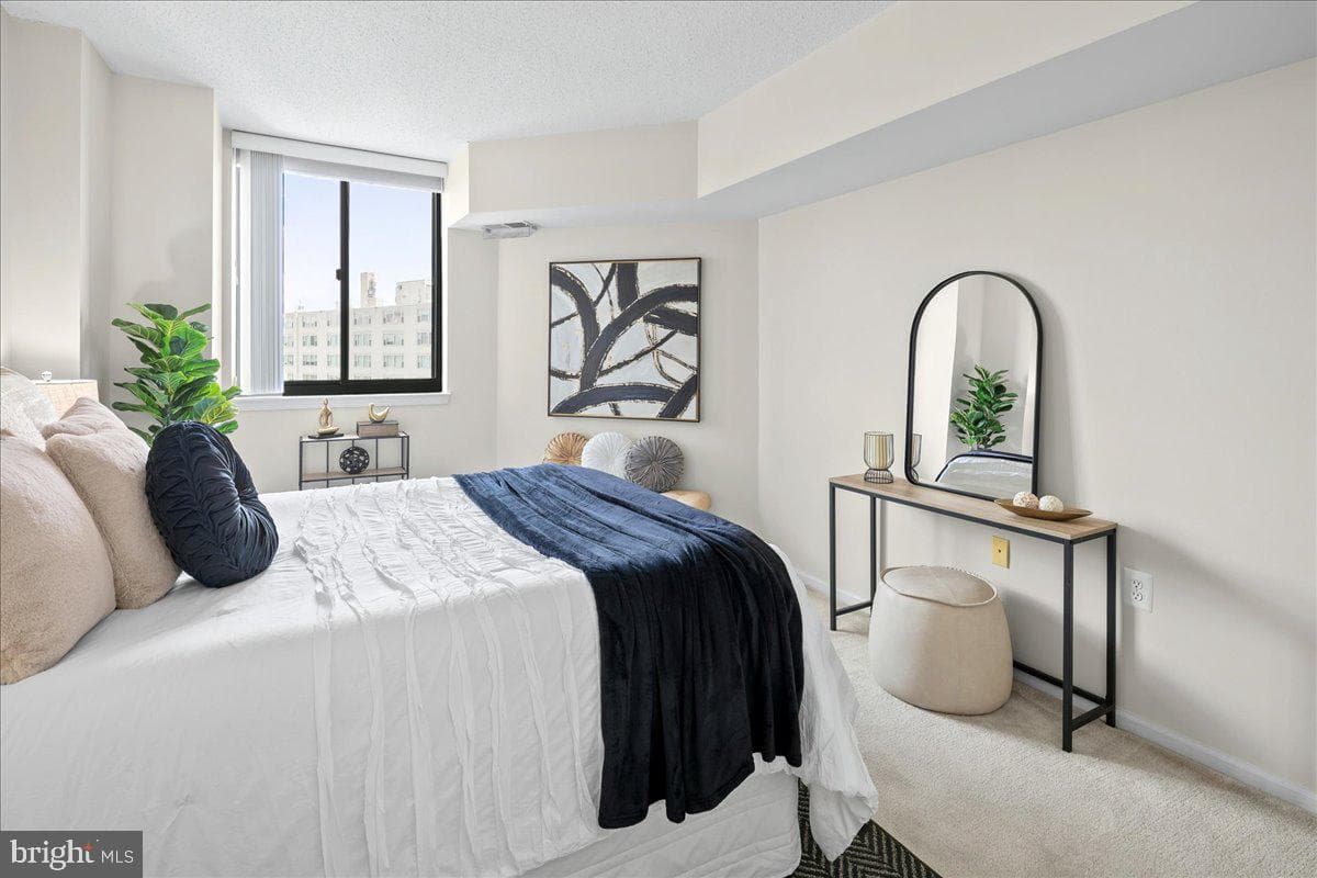 1001 N Randolph Street #913 photo 13