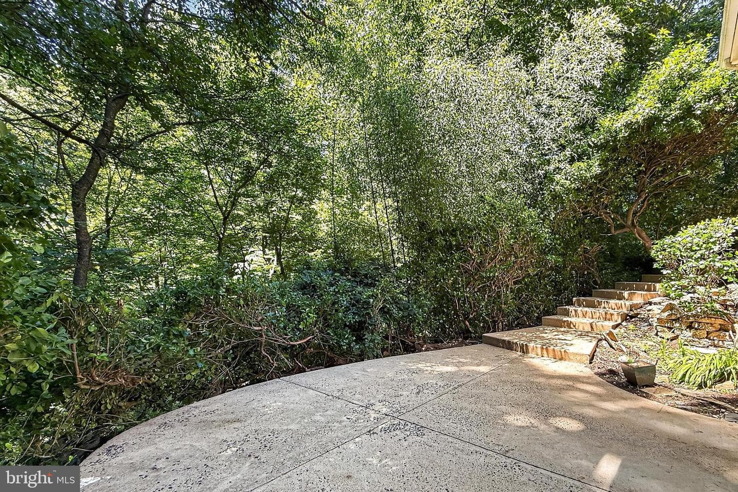 204 N Evergreen Street photo 52