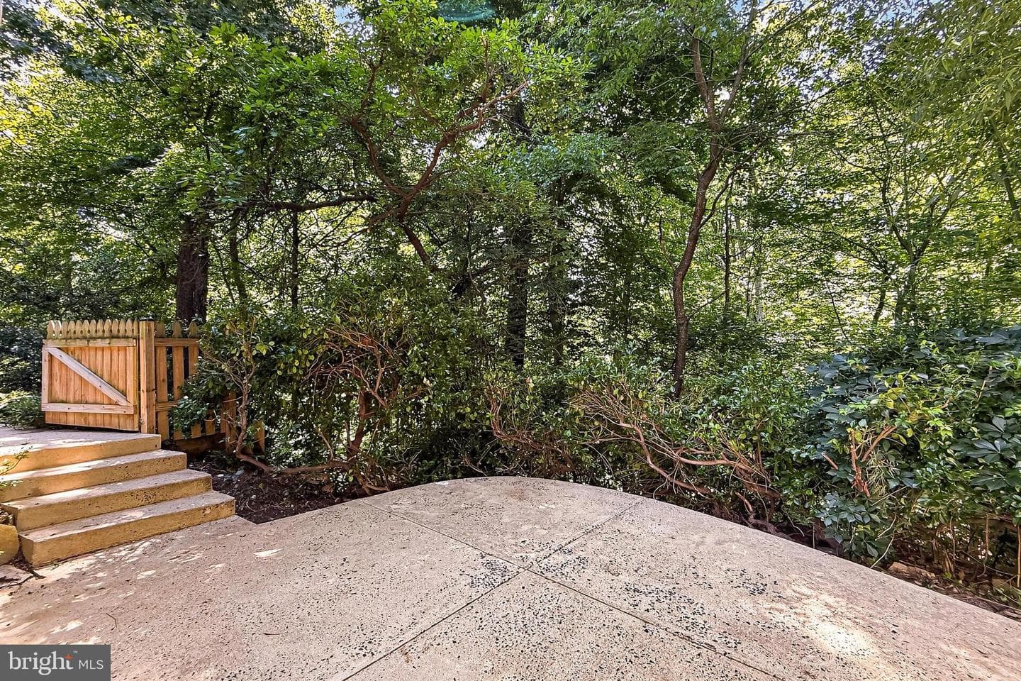 204 N Evergreen Street photo 55