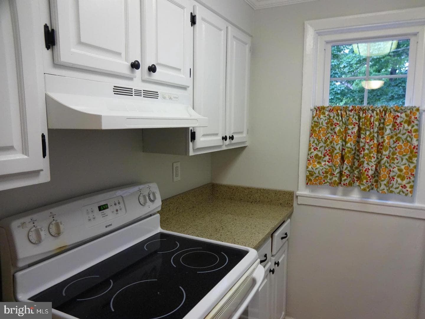 704 S Arlington Mill Drive #17101 photo 9