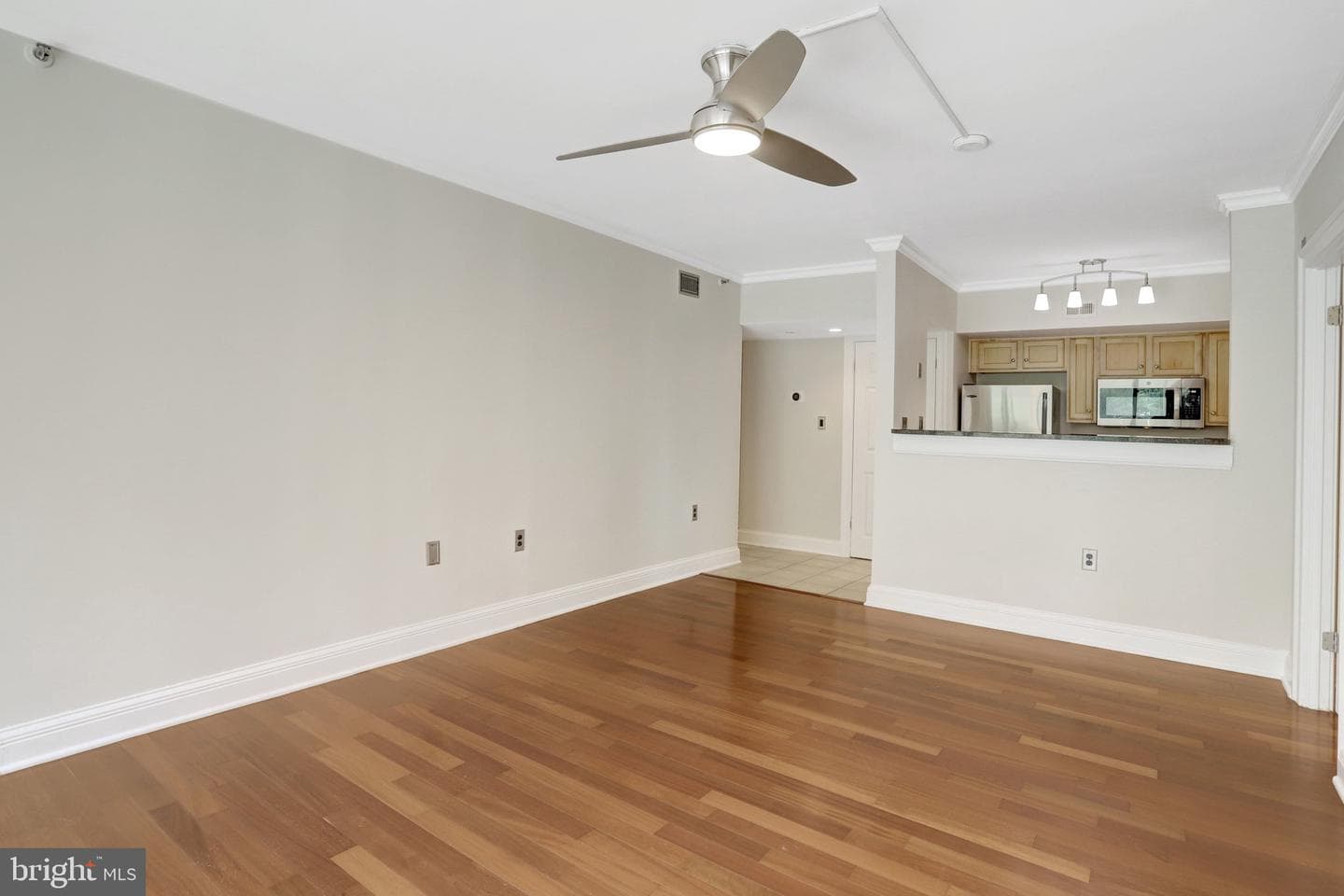 1001 N Randolph Street #302 photo 14