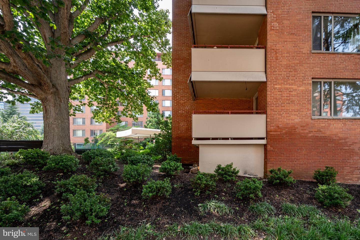 1121 Arlington Boulevard #206 photo 35
