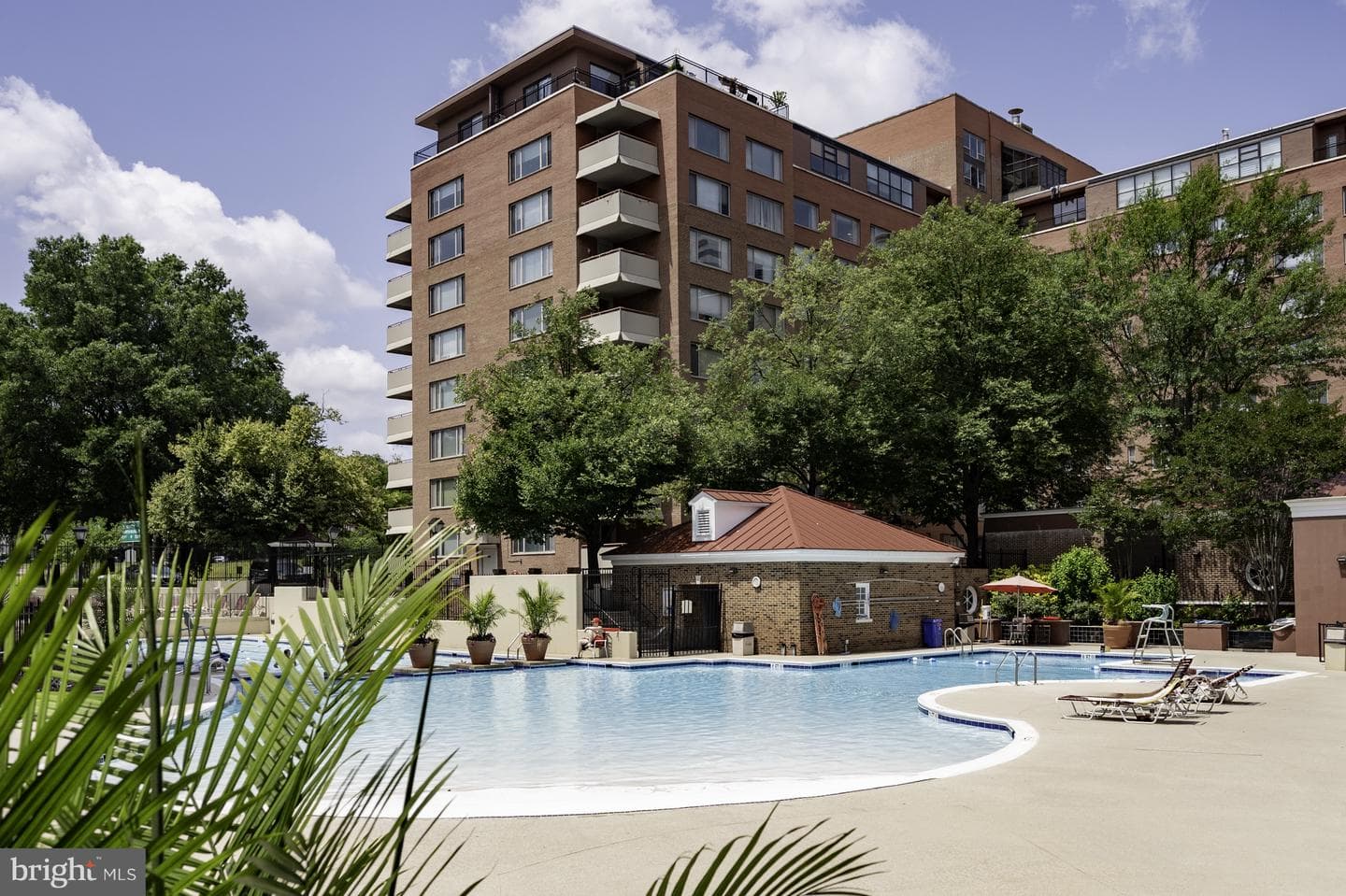 1021 Arlington Boulevard #1212 photo 58