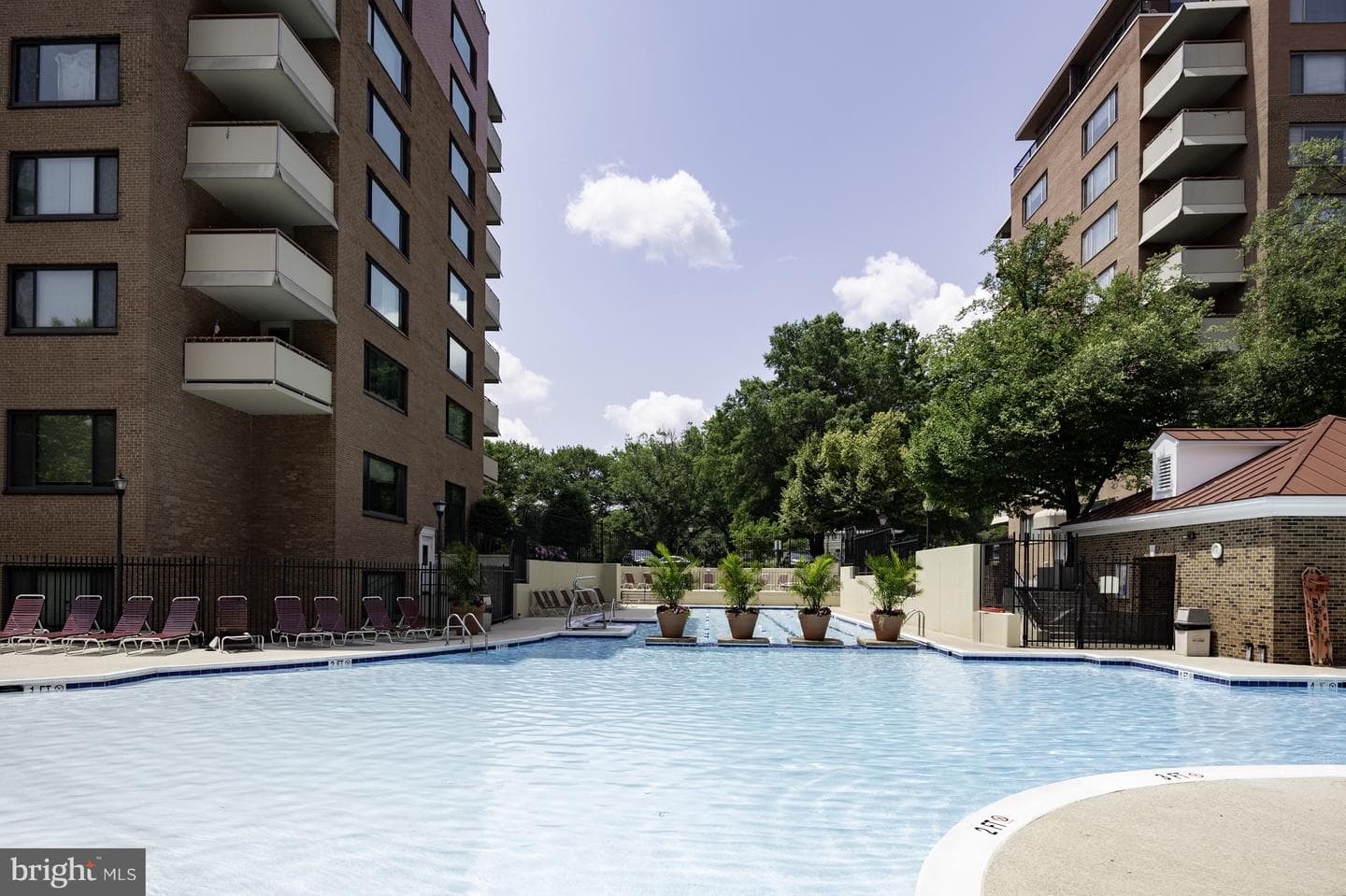 1021 Arlington Boulevard #1212 photo 60