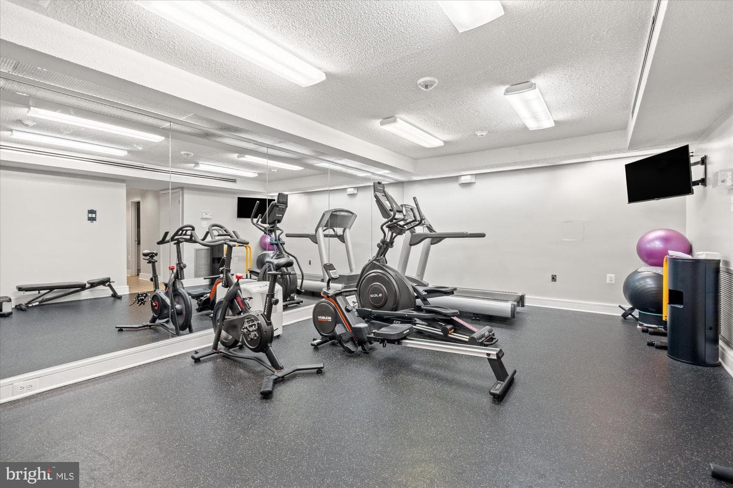 1730 Arlington Boulevard #4 photo 29