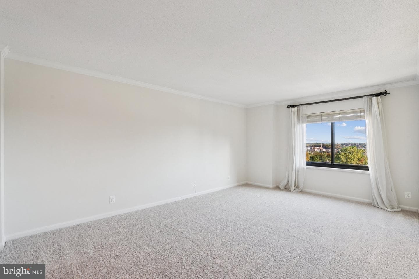 205 Yoakum Parkway #823 photo 15