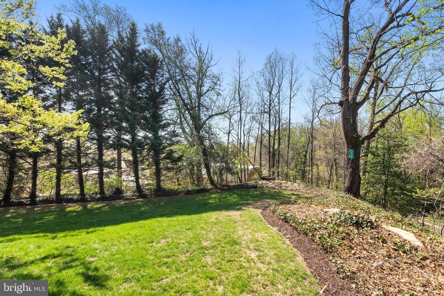 2307 Russell Road photo 72