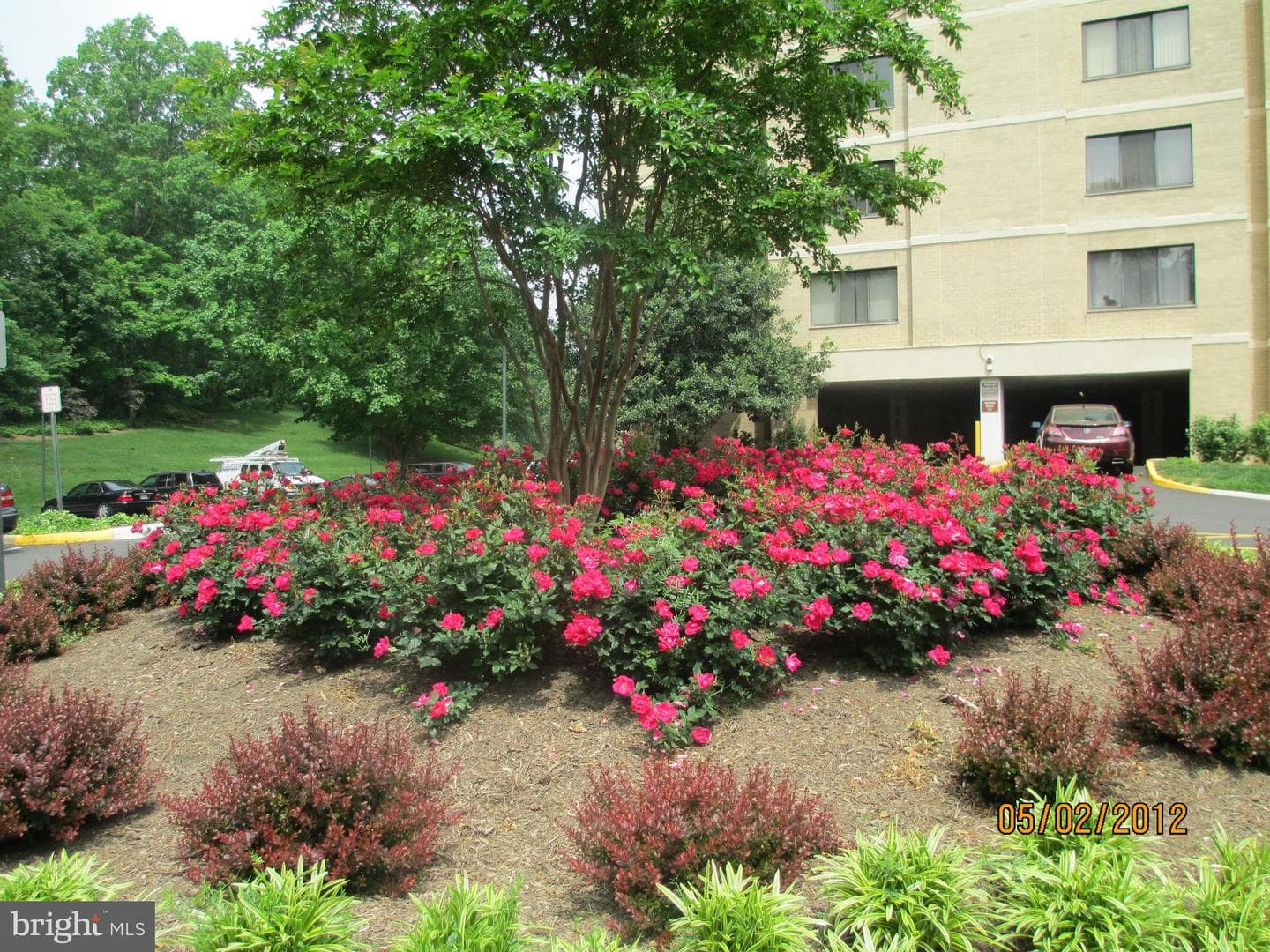 203 Yoakum Parkway #1004 photo 49