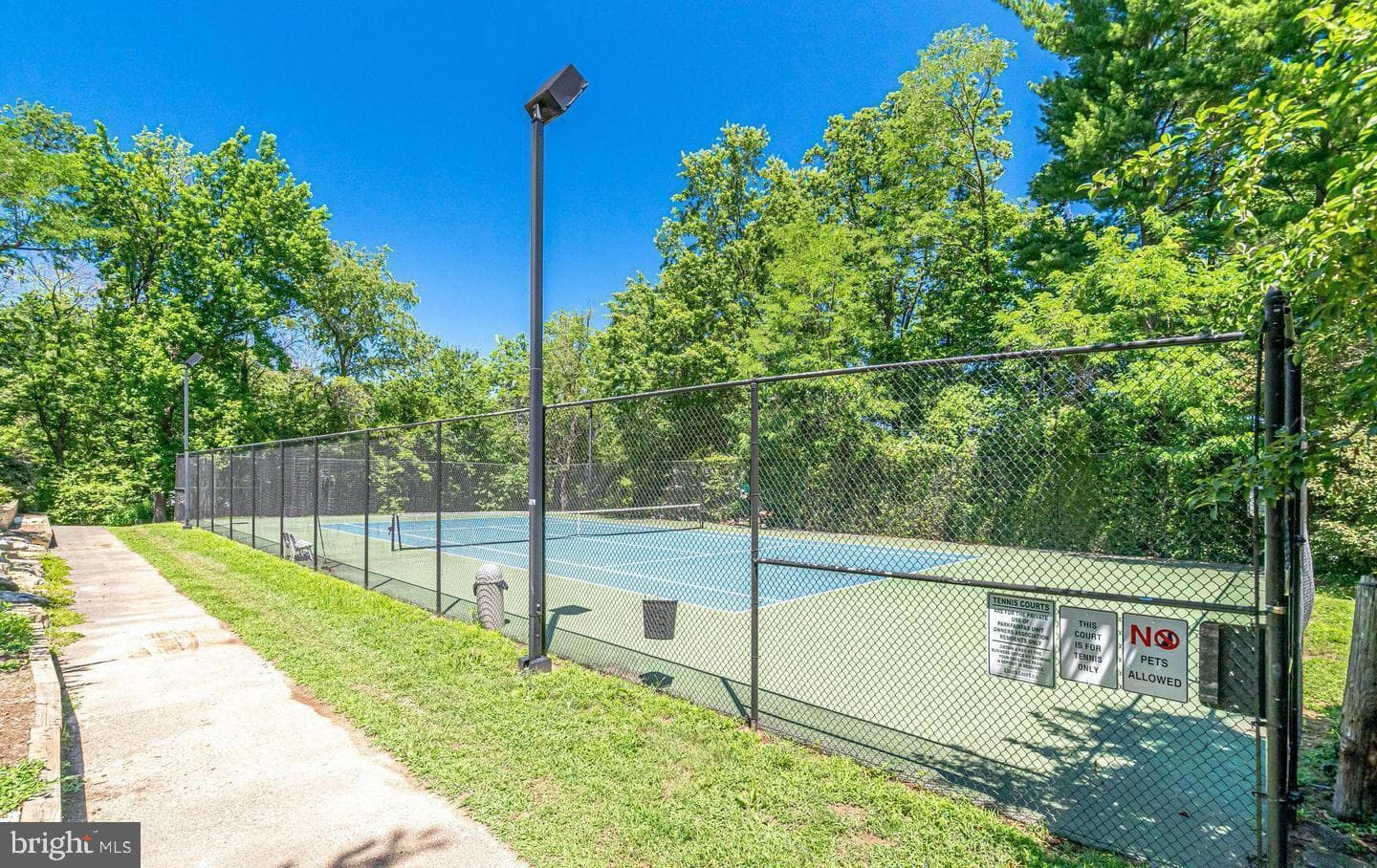 3539 Martha Custis Drive photo 26
